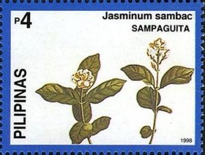 Colnect-2335-397-Jasminum-sambac.jpg