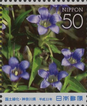 Colnect-4117-555-Japanese-Gentian.jpg