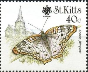 Colnect-4391-106-Anartia-jatrophae---overprinted.jpg