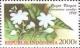 Colnect-1141-237-Arabian-jasmine-Jasminum-sambac.jpg