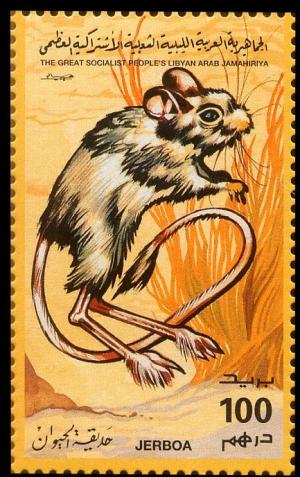 Colnect-4735-013-Jerboa-Dipodidae.jpg