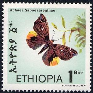 Skap-ethiopia_05_bfly-moth.jpg-crop-399x400at425-418.jpg