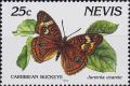 Colnect-3888-732-Junonia-evarete.jpg