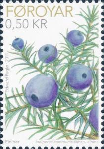 Colnect-1342-915-Juniper-Berries.jpg