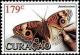 Colnect-4375-825-Junonia-evarete.jpg