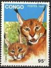 Colnect-1119-289-Carakal-Caracal-caracal.jpg