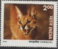 Colnect-1302-072-Carakal-Caracal-caracal.jpg