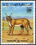 Colnect-1894-972-Carakal-Caracal-caracal.jpg