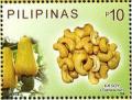 Colnect-2850-612-Kasoy-Cashew-Nut.jpg