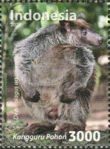 Colnect-5970-551-Ursine-Tree-Kangaroo-Dendrolagus-ursinus.jpg