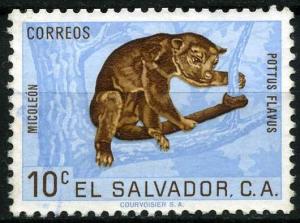 Colnect-1398-860-Kinkajou-Potos-flavus.jpg