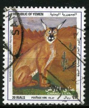 Colnect-1407-756-Carakal-Caracal-caracal.jpg