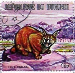 Colnect-1493-004-Carakal-Caracal-caracal.jpg