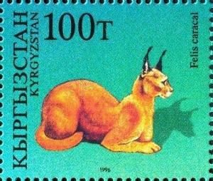 Colnect-2653-841-Carakal-Caracal-caracal.jpg