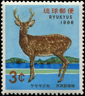 Colnect-4823-173-Ryukyu-Sika-Cervus-nippon-keramae-.jpg