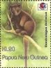 Colnect-2772-683-Doria--s-Tree-kangaroo-Dendrolagus-dorianus.jpg