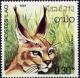 Colnect-797-336-Carakal-Caracal-caracal.jpg