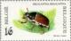 Colnect-187-126-May-Bug-or-Cockchafer-Melolontha-melolontha.jpg