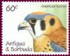 Colnect-1462-725-American-Kestrel-Falco-sparverius.jpg