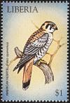 Colnect-1641-825-American-Kestrel-Falco-sparverius.jpg