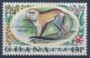 Colnect-1889-152-Mona-Monkey-Cercopithecus-mona-.jpg