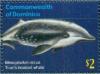 Colnect-3292-876-True%C2%B4s-Beaked-Whale-Mesoplodon-mirus.jpg