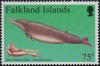 Colnect-3909-655-Gray--s-Beaked-Whale-Mesoplodon-grayi-.jpg