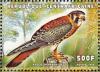 Colnect-4383-467-American-Kestrel-Falco-sparverius.jpg