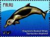 Colnect-4950-837-Shepherd-s-Beaked-Whale-Tasmacetus-shepherdi.jpg