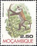 Colnect-1115-435-Blue-Monkey-Cercopithecus-mitis.jpg