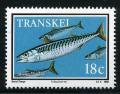 Colnect-1713-704-Chub-Mackerel-Scomber-japonicus-.jpg