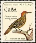 Colnect-2259-226-Cuban-Flicker-Nesoceleus-fernandinae.jpg