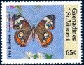 Colnect-2549-538-Common-Buckeye-Junonia-coenia-coenia.jpg