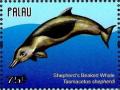 Colnect-4950-837-Shepherd-s-Beaked-Whale-Tasmacetus-shepherdi.jpg