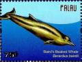 Colnect-4950-839-Baird-s-Beaked-Whale-Berardius-bairdii.jpg