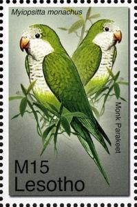 Colnect-1618-700-Monk-Parakeet-Myiopsitta-monachus.jpg