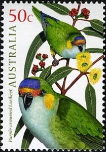 Colnect-471-224-Purple-crowned-Lorikeet-Glossopsitta-porphyrocephala.jpg