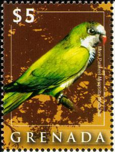 Colnect-2311-315-Monk-Parakeet-Myiopsitta-monachus.jpg