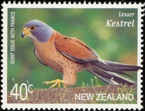 Colnect-2131-606-Lesser-Kestrel-Falco-naumanni.jpg