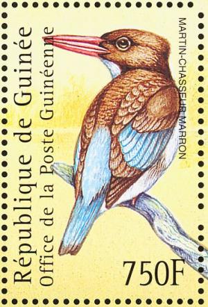 Colnect-3804-320-Chocolate-backed-Kingfisher-Halcyon-badia.jpg