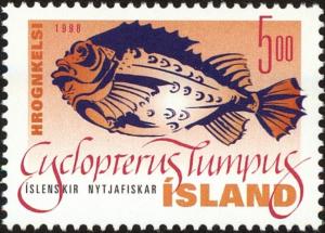 Colnect-5244-275-Lumpsucker-Cyclopterus-lumpus.jpg