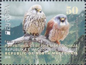 Colnect-5813-254-Lesser-Kestrel-Falco-naumanni.jpg