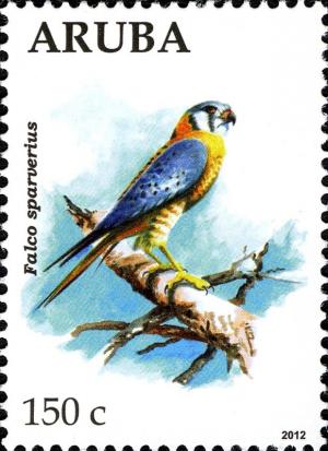 Colnect-6028-761-American-Kestrel-Falco-sparverius.jpg