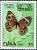 Colnect-1741-773-Mangrove-Buckeye-Junonia-evarete-coenia.jpg