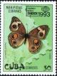 Colnect-1741-773-Mangrove-Buckeye-Junonia-evarete-coenia.jpg