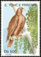 Colnect-2103-317-Fox-Kestrel-Falco-alopex.jpg