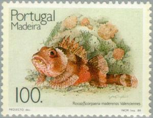 Colnect-186-507-Madeira-Rockfish-Scorpaena-maderensis.jpg