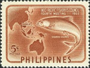 Colnect-2106-116-Milkfish-Chanos-chanos.jpg