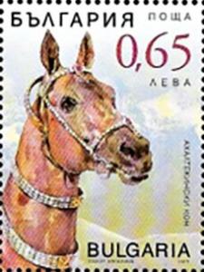 Colnect-5772-037-Akhal-Teke-Horses.jpg