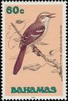 Colnect-576-828-Bahama-Mockingbird-Mimus-gundlachii.jpg